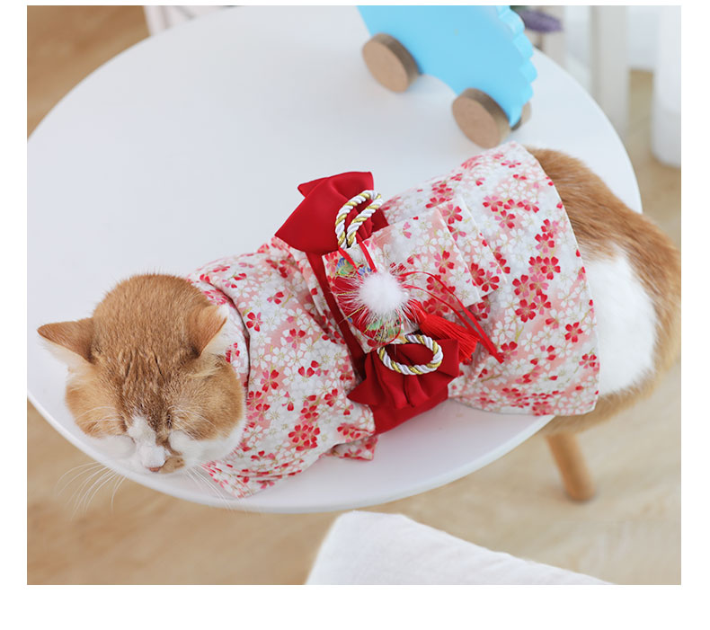 Sakura cat kitty Japan kimono spring summer thin style clothes fashion dresses