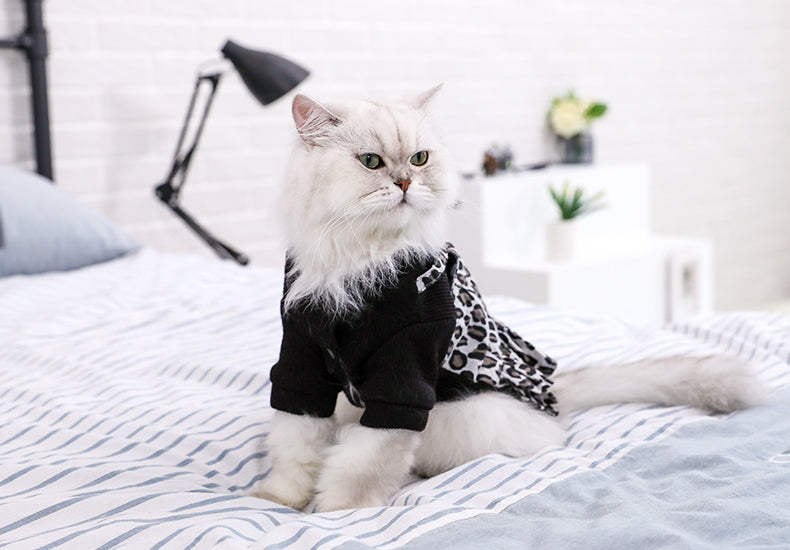 New Small Pet Dog Clothes Cat Dress with High Quality