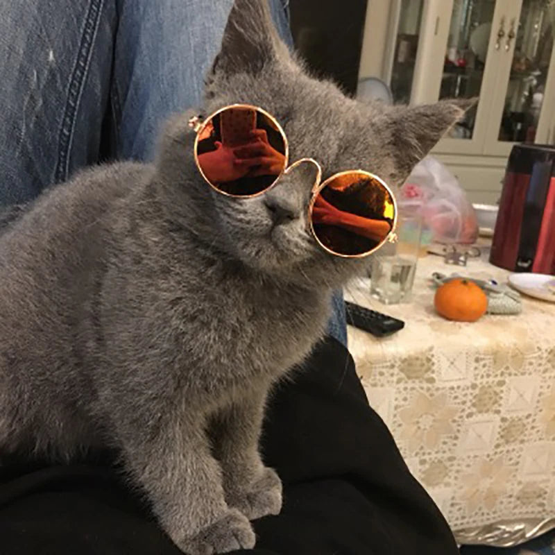 Pet Cat Sunglasses Funny Headdress Cat Grooming Accessories