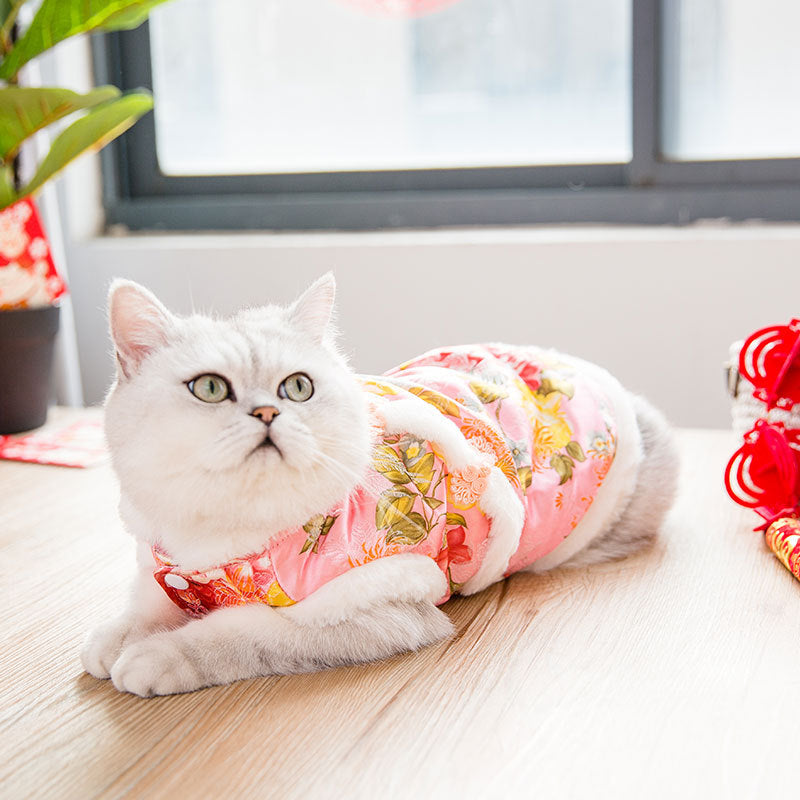 New Year Festive Cat Tang Suit Pet Winter Clothes