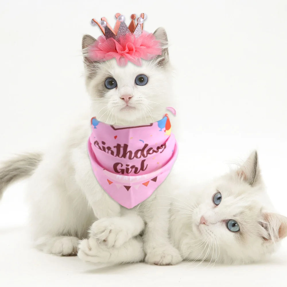 Cat Birthday Dress Up Set Pearl Crown Hat and Triangle Scarf