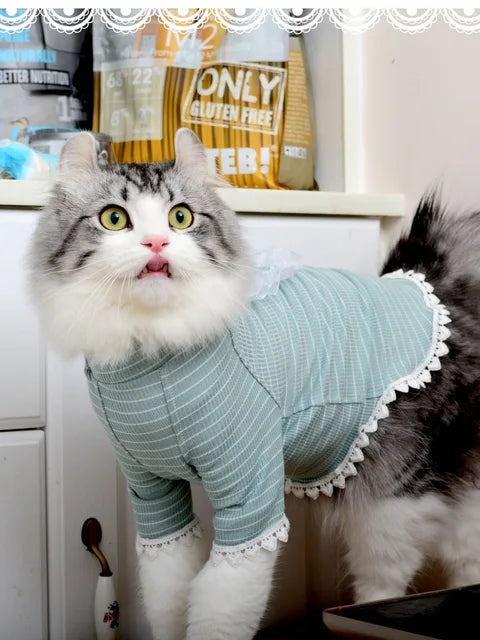 Cat Clothes Summer Shirt Thin Kitten Cute Pet Dress