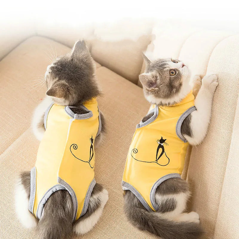 Cat Sterilization Suit Spring Summer Anti-Licking Surgery After Recovery