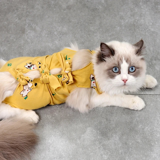 Cat Surgical Recovery Suits After Surgery Wear Pet Clothes