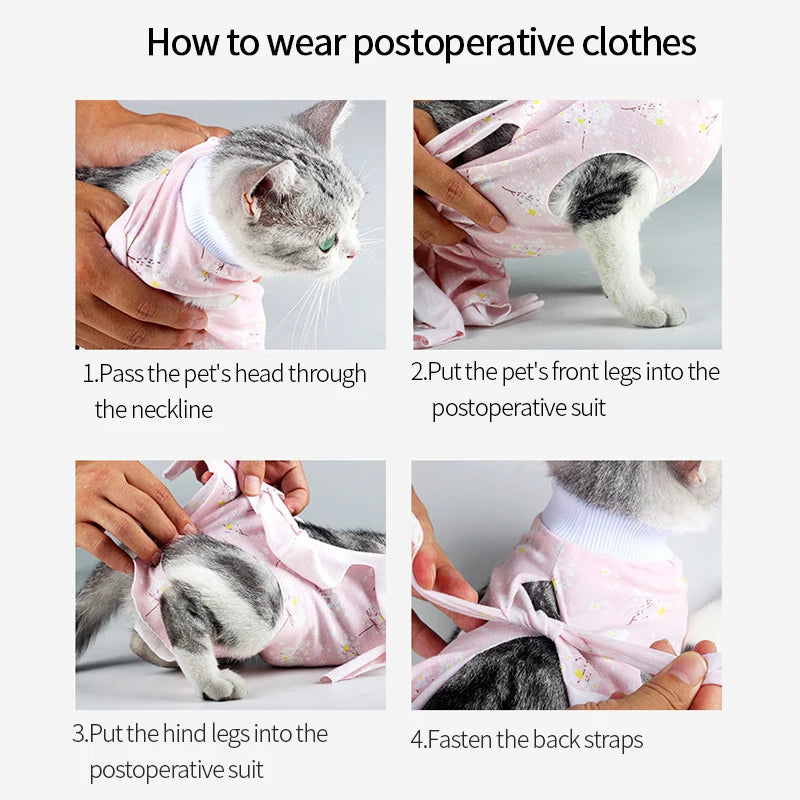 Cat Surgical Recovery Suits After Surgery Wear Pet Clothes