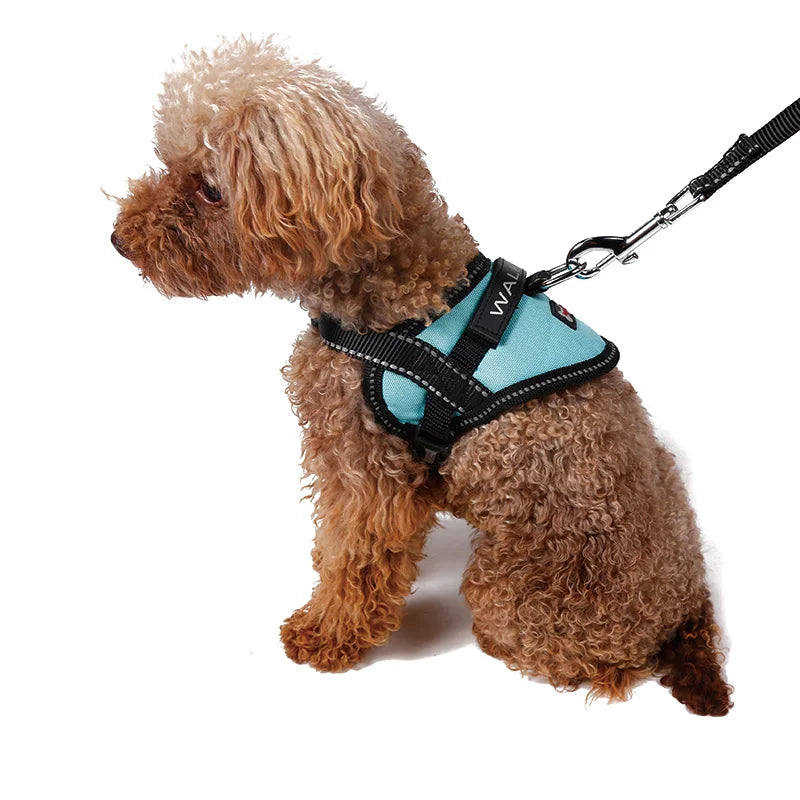 Reflective Safety Belt Dog Chest Strap Harness Lead Rope