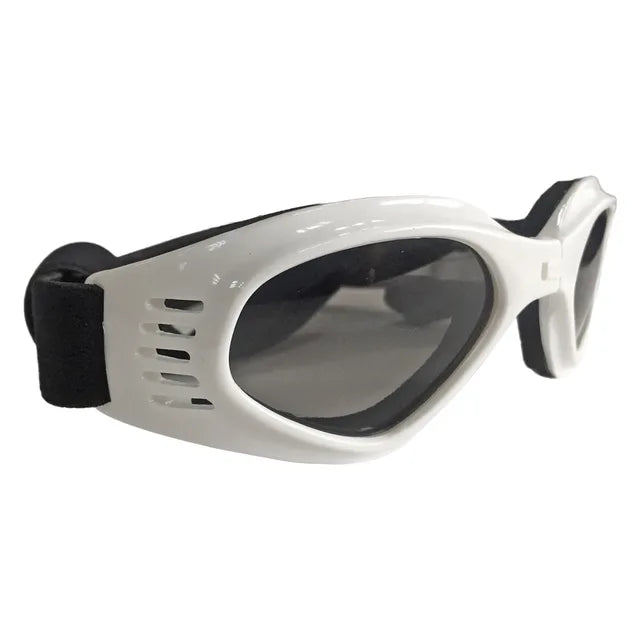 Colorful Dog Sunglasses Small Dog Goggles