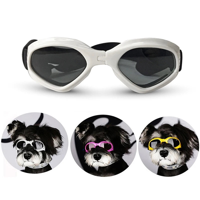 Colorful Dog Sunglasses Small Dog Goggles