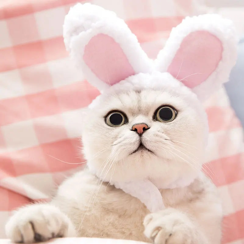 Funny Pet Cat Cap Costume Warm Rabbit Hat