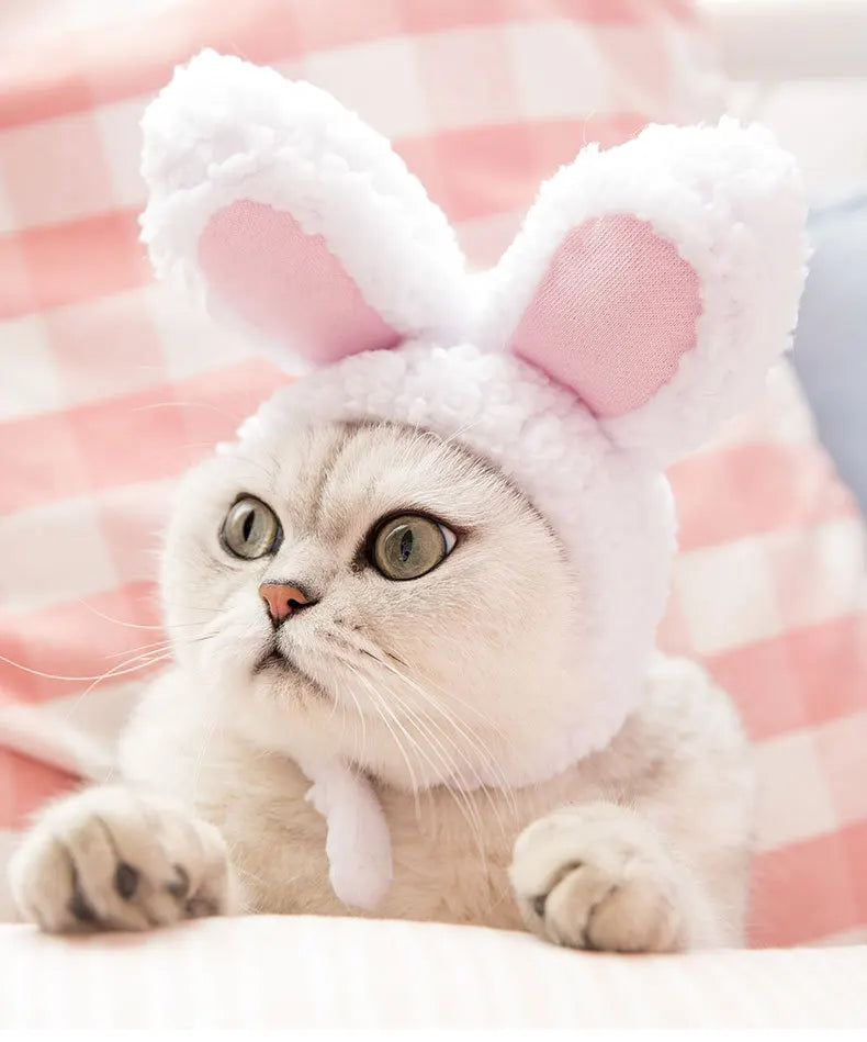 Funny Pet Cat Cap Costume Warm Rabbit Hat