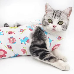 Cat Protective Coat Pet For Abdominal Wounds Or Skin Diseases