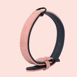 Colorful Comfortable PU Pet Collar Durable Leather With Metal Buckle