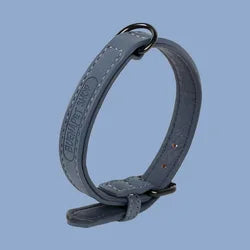 Colorful Comfortable PU Pet Collar Durable Leather With Metal Buckle