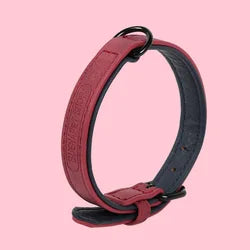 Colorful Comfortable PU Pet Collar Durable Leather With Metal Buckle