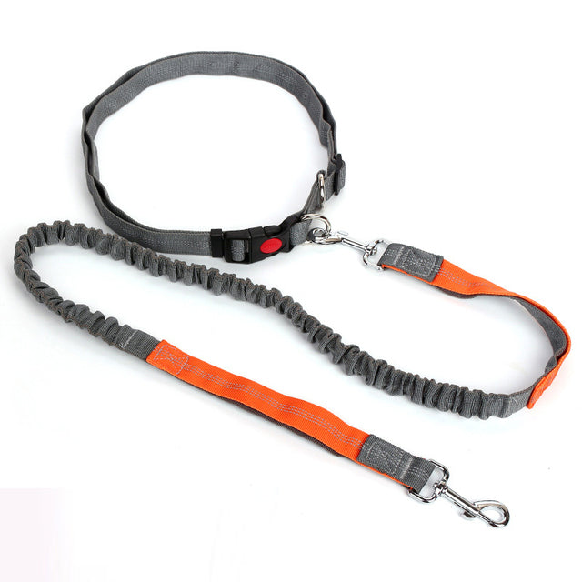 Outdoor Reflective Leash Traction Rope Pet Dog Running Belt Elastic Hand Pull Dog Leash