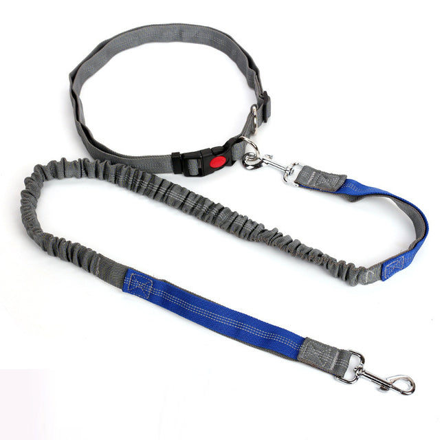 Outdoor Reflective Leash Traction Rope Pet Dog Running Belt Elastic Hand Pull Dog Leash