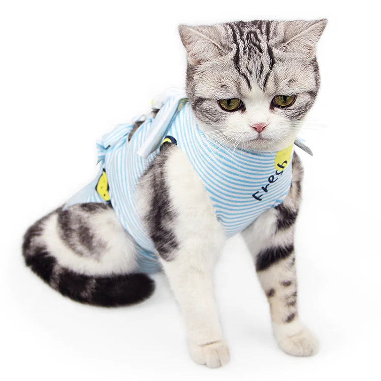 Cat Protective Coat Pet For Abdominal Wounds Or Skin Diseases