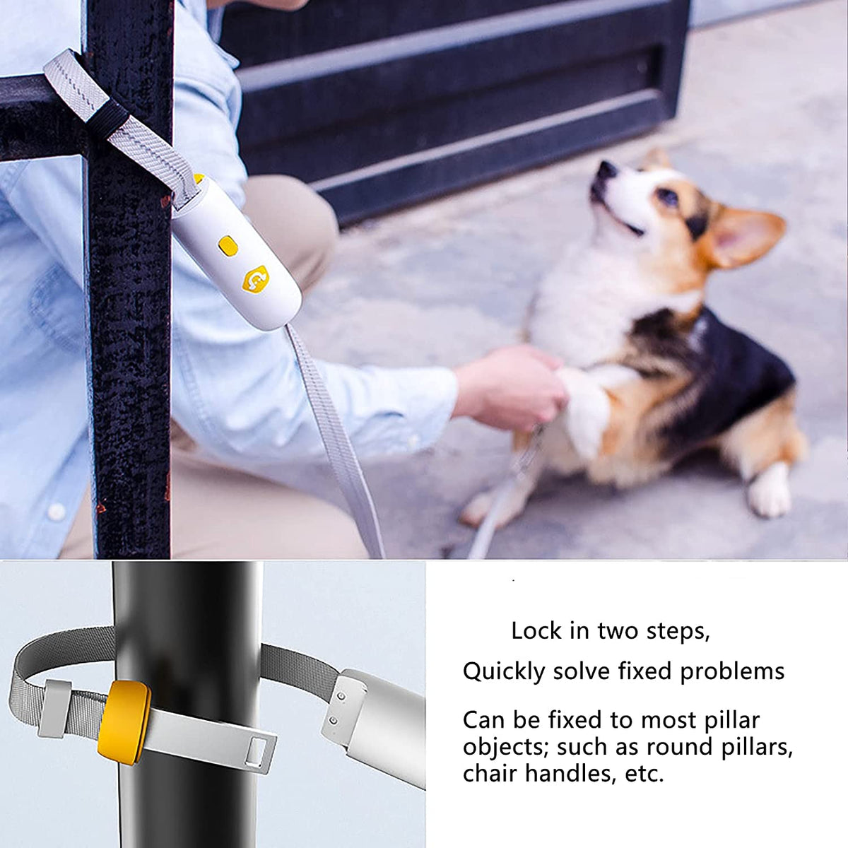 Pet Dog Training Collar Lead Leash Traction Rope