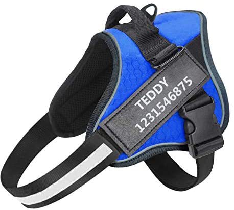 Pet Dog Walking Harness Leash Lead Set