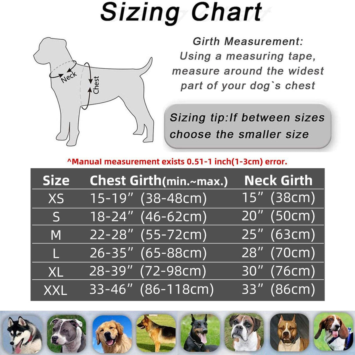 Pet Dog Walking Harness Leash Lead Set