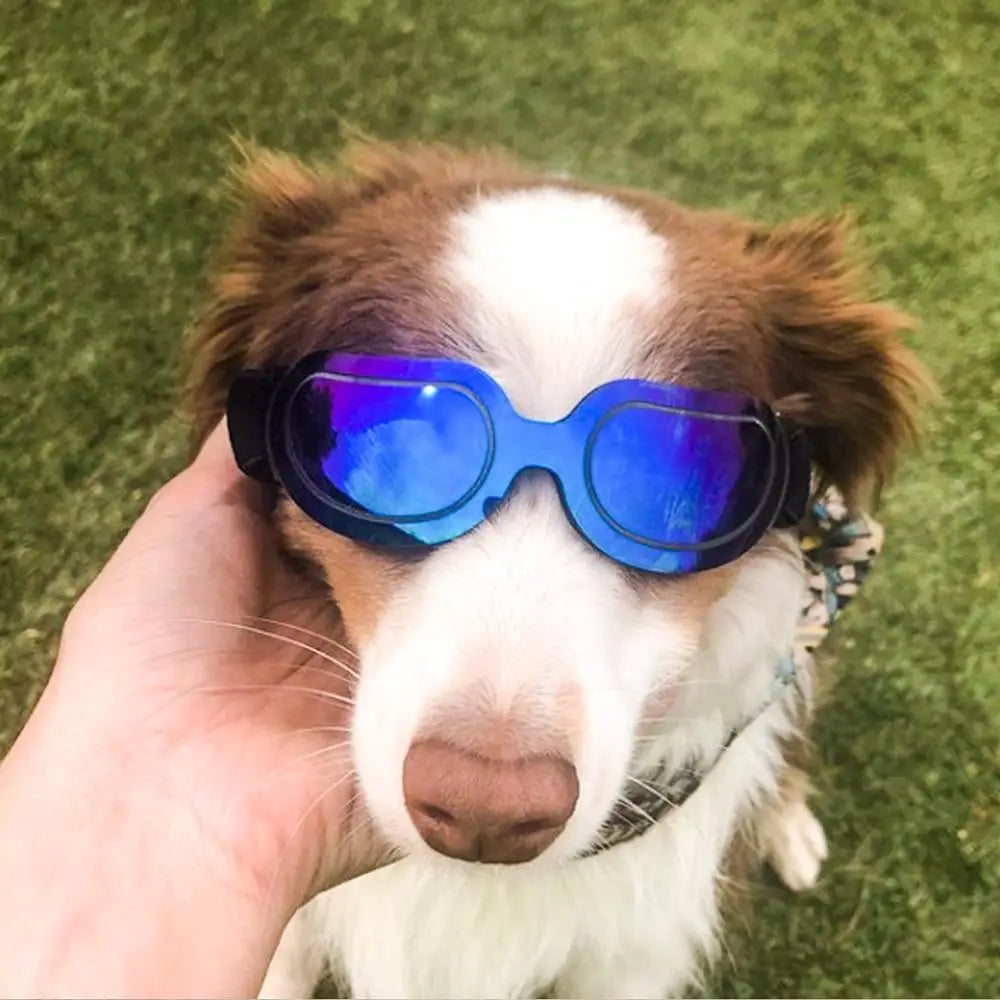 Pet Dog Sunglasses Adjustable Goggles Sun Glasses