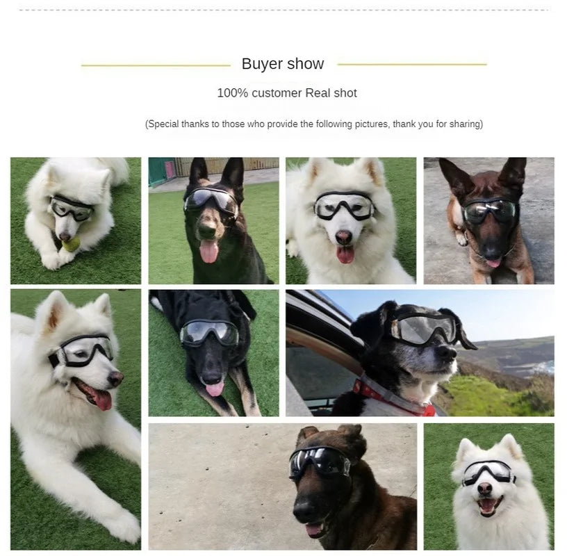 Pet Goggles Waterproof Windproof UV Large Dog Glasses