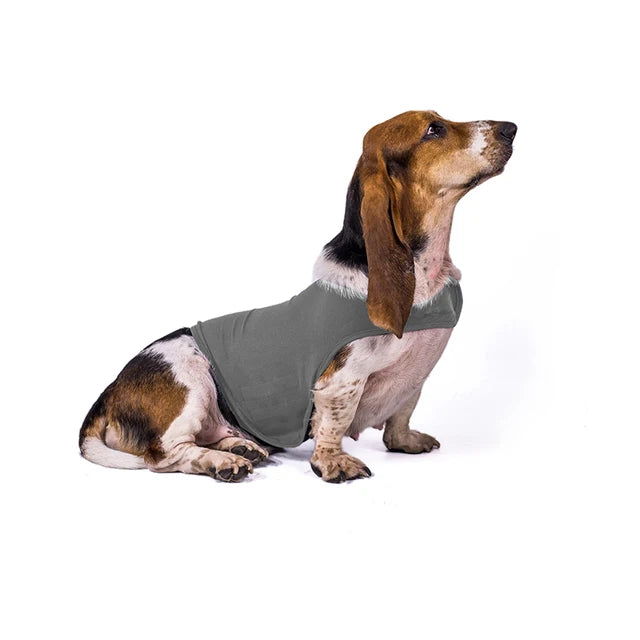 Dog Anti-anxiety Overcome Fear Jacket Pet Rehabilitation Suit