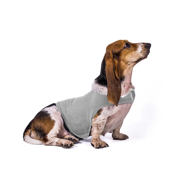 Dog Anti-anxiety Overcome Fear Jacket Pet Rehabilitation Suit