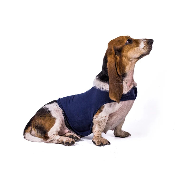 Dog Anti-anxiety Overcome Fear Jacket Pet Rehabilitation Suit
