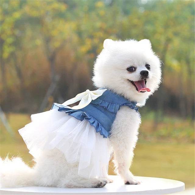 Summer Dress Pets Cat Dog Clothes Spring Dresses