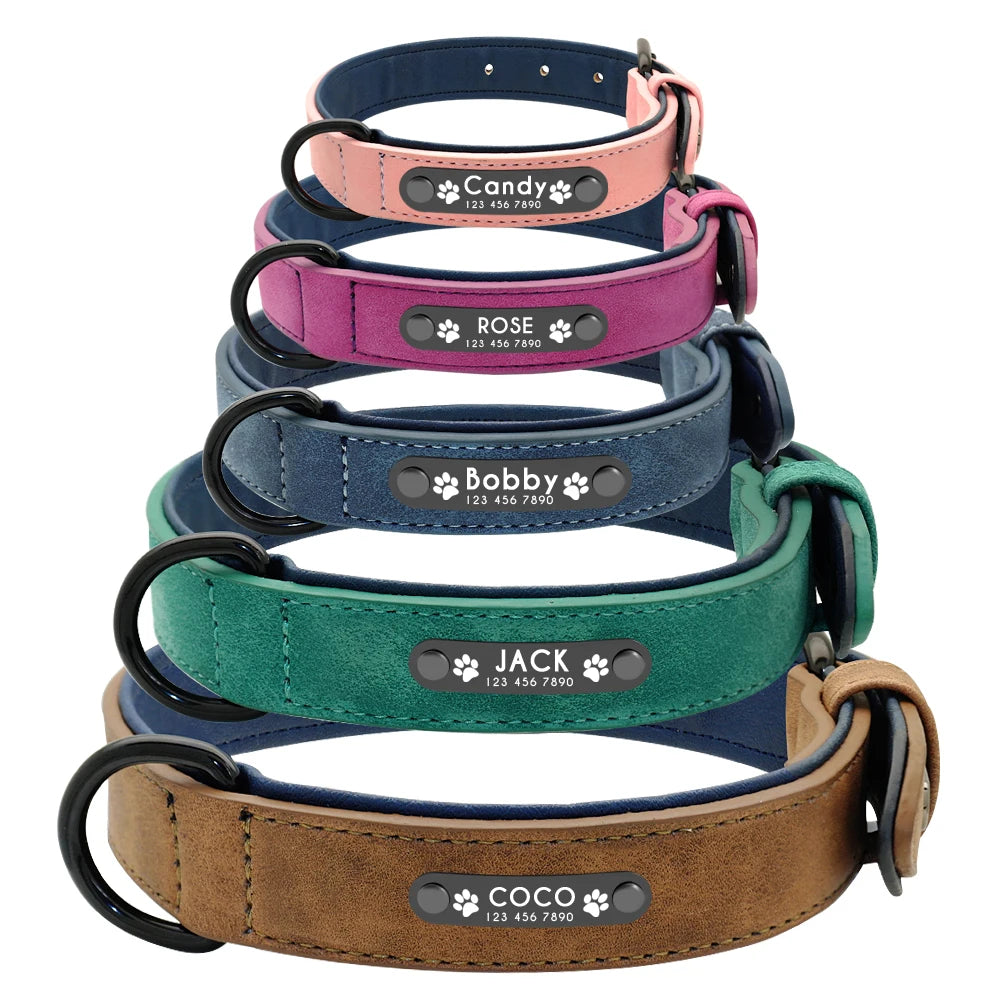 Customized Dogs Collars Personalized Padded Leather Collar With Walking Leash