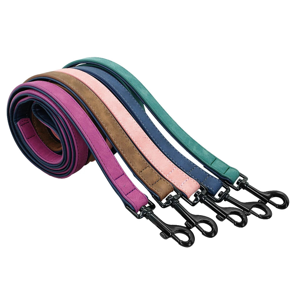 Customized Dogs Collars Personalized Padded Leather Collar With Walking Leash