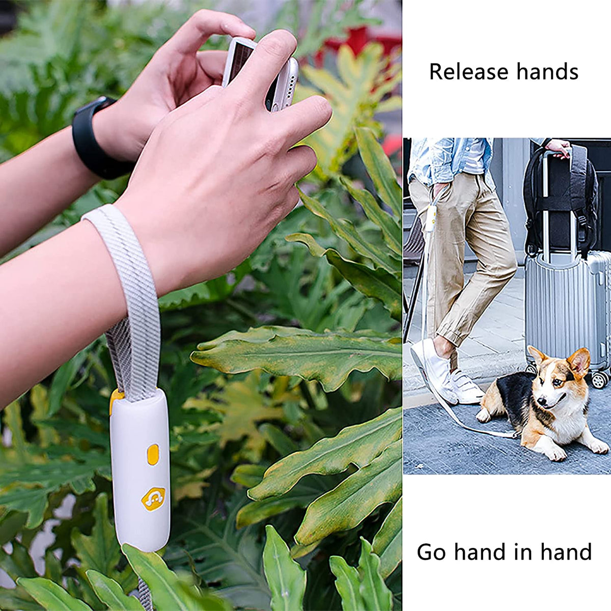 Pet Dog Training Collar Lead Leash Traction Rope