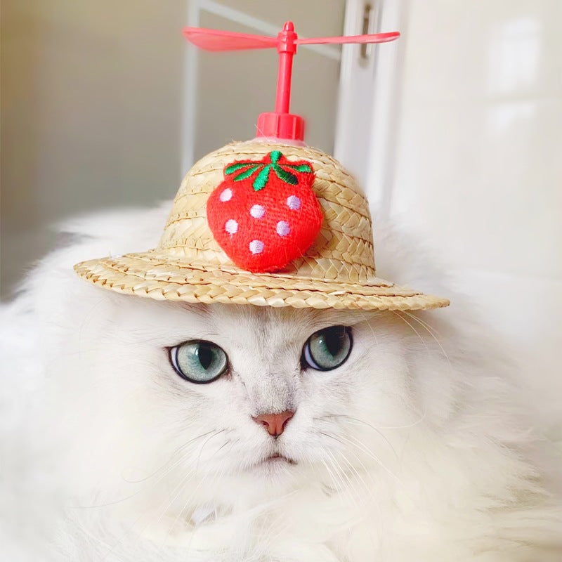 Bamboo Dragonfly Cartoon Cute Cat Straw Hats Cap