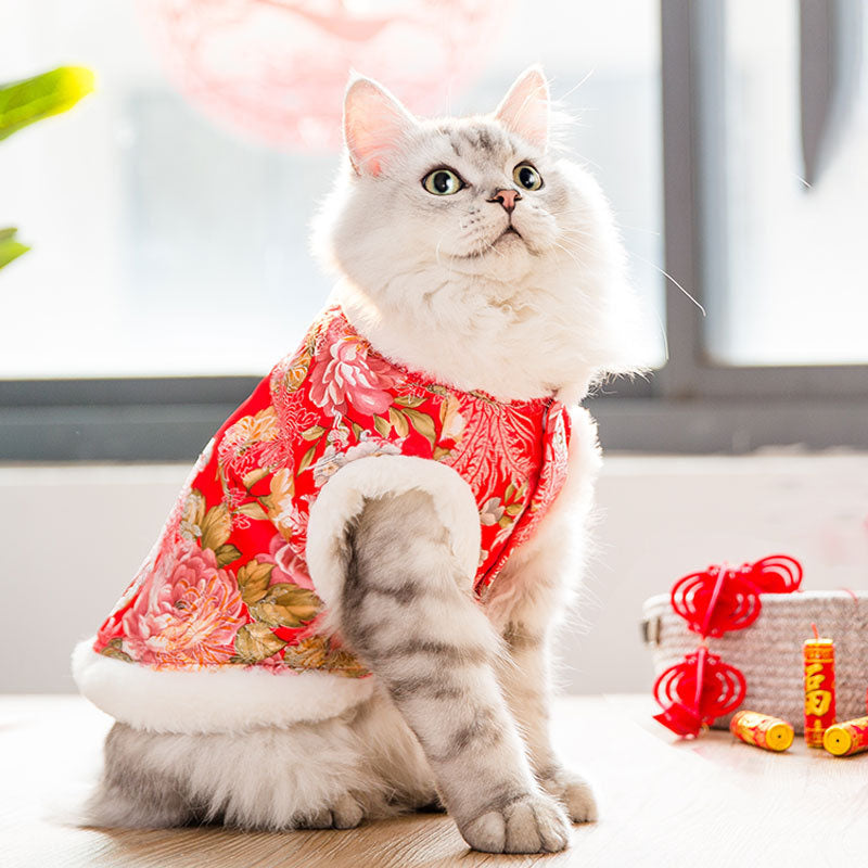 New Year Festive Cat Tang Suit Pet Winter Clothes