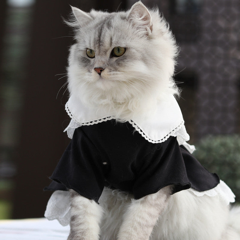 Cat Black Cosplay Clothes Dress With Hat Pet Clothing