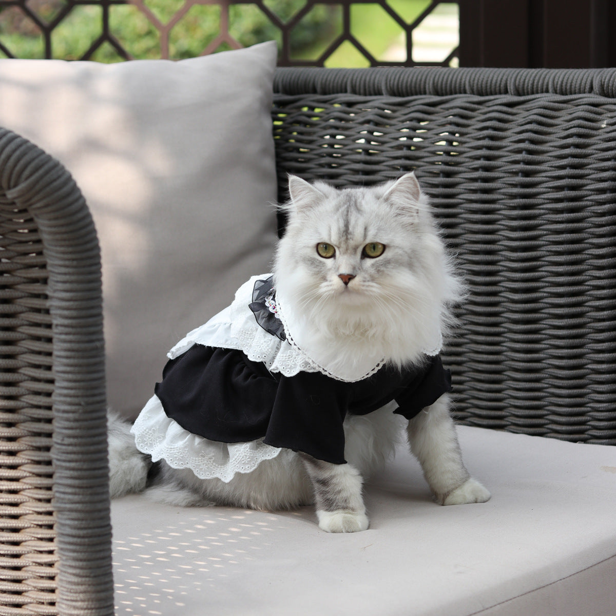 Cat Black Cosplay Clothes Dress With Hat Pet Clothing