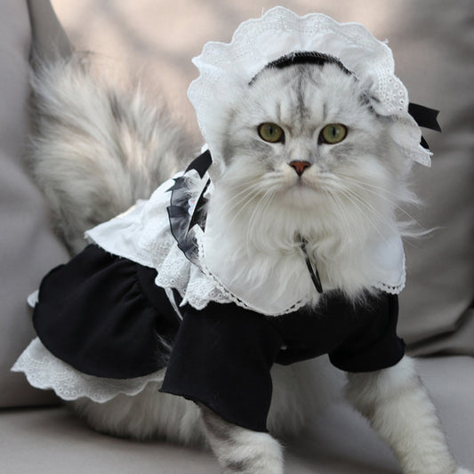 Cat Black Cosplay Clothes Dress With Hat Pet Clothing