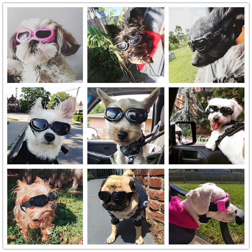 Pet Dog Sunglasses Windproof Protection UV Glasses