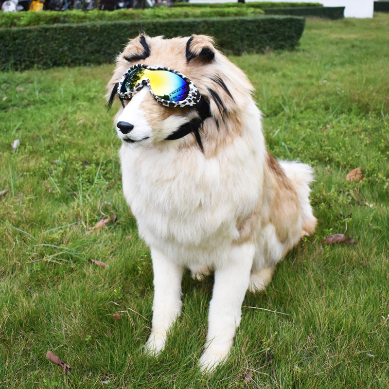 Glasses For Dogs Snow And Uv Protection