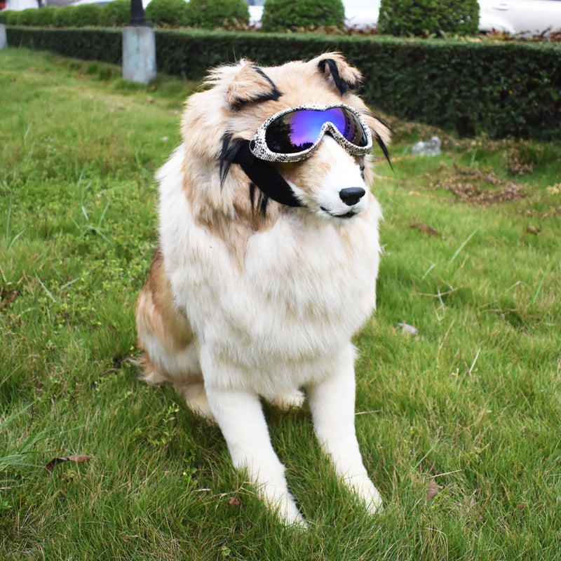 Glasses For Dogs Snow And Uv Protection