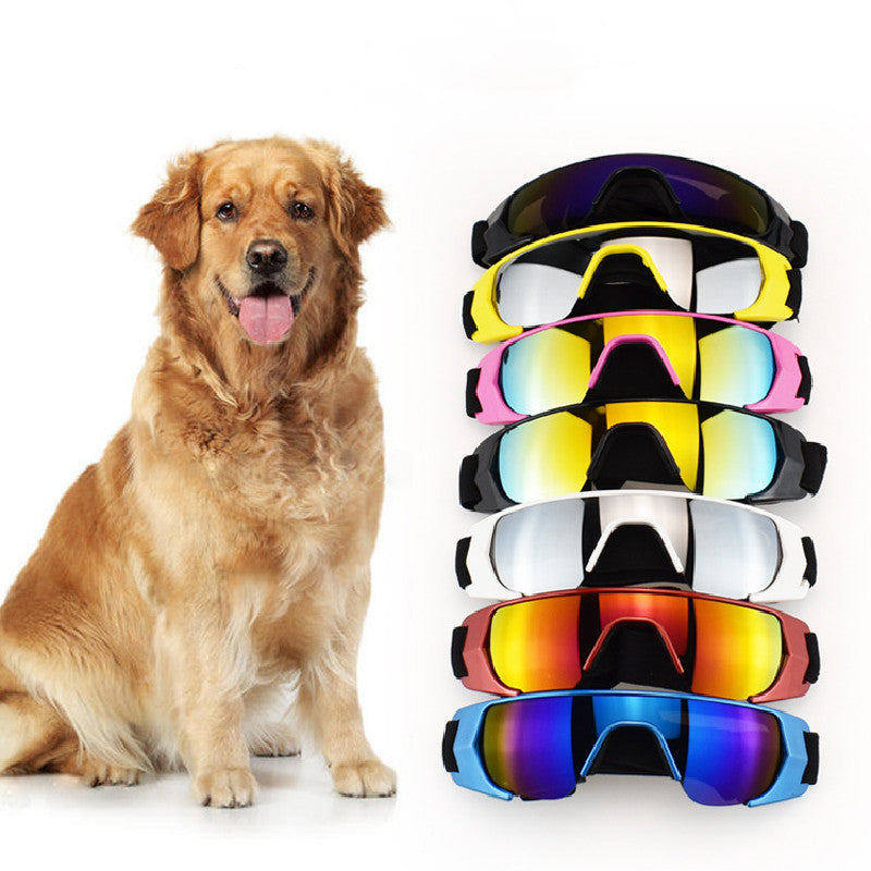 Pet Glasses Small Glasses Dog Cat Sunglasses