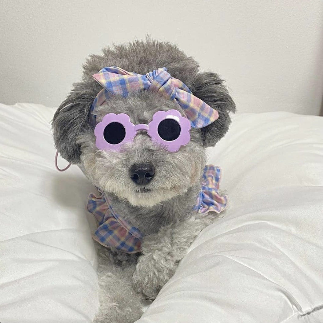 Pet Cat Glasses Flowers Love Pearls Pet Accessories Glasses Sunglasses