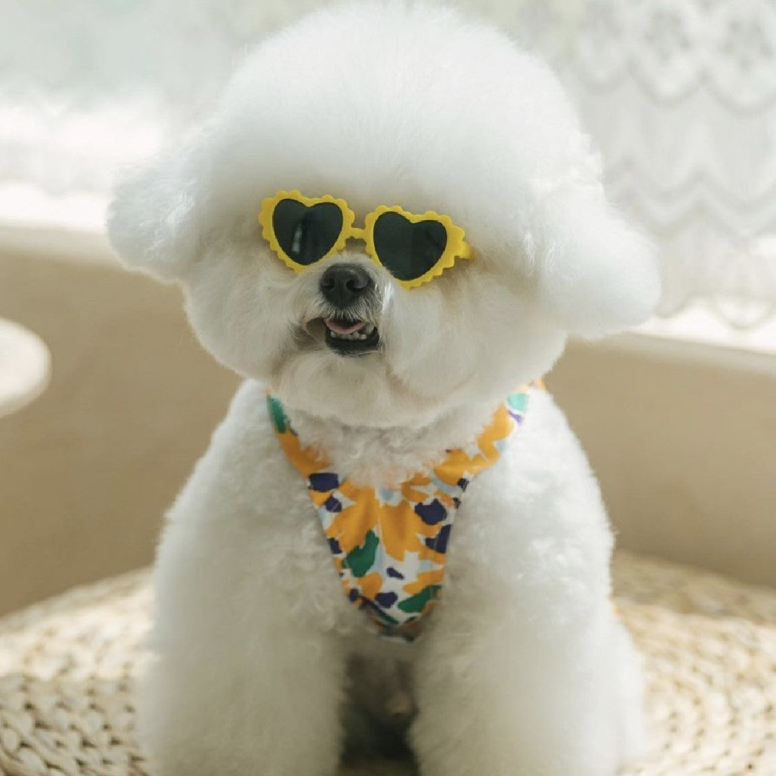 Creative Lace Love Pet Dog Cat Sunglasses