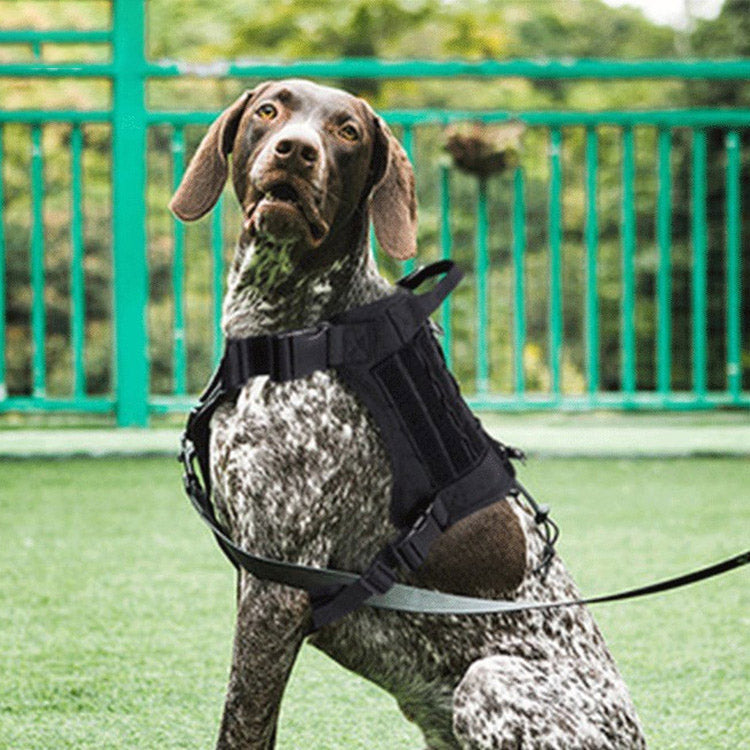 Pet Dog Outdoor Training Tactical Harness Vest With Leash