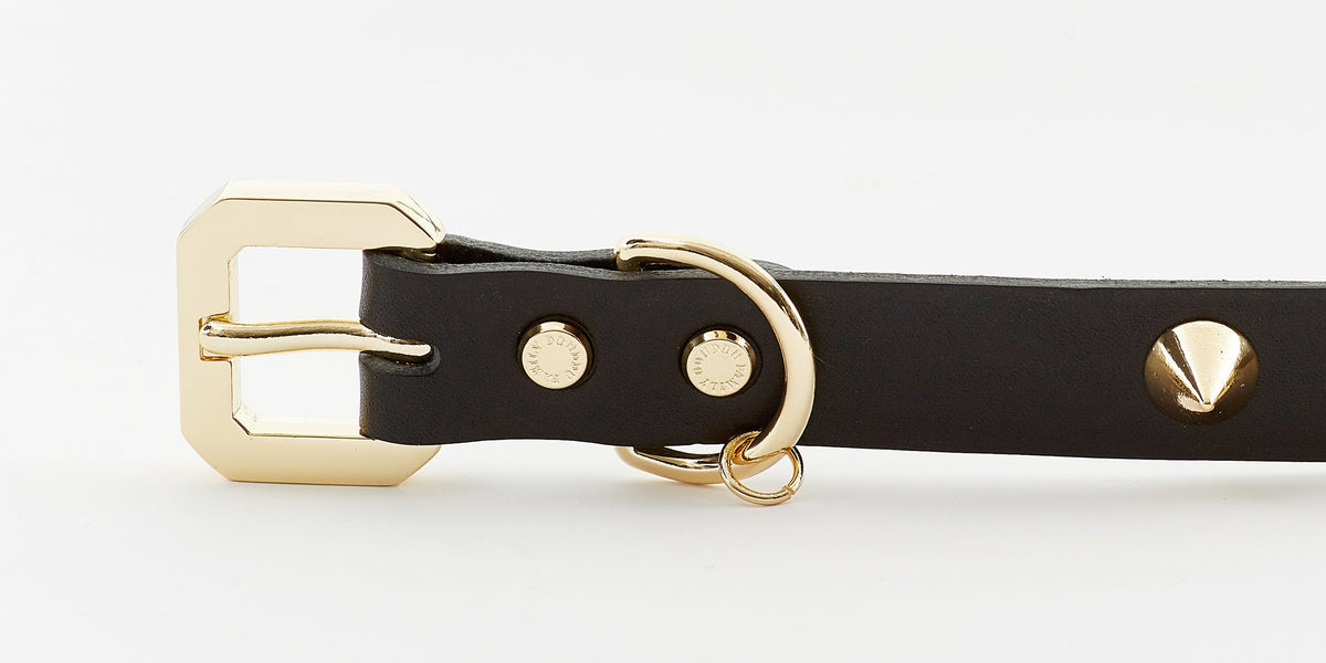 Golden Spike Black Collar - [[Product type]] | Buffy's