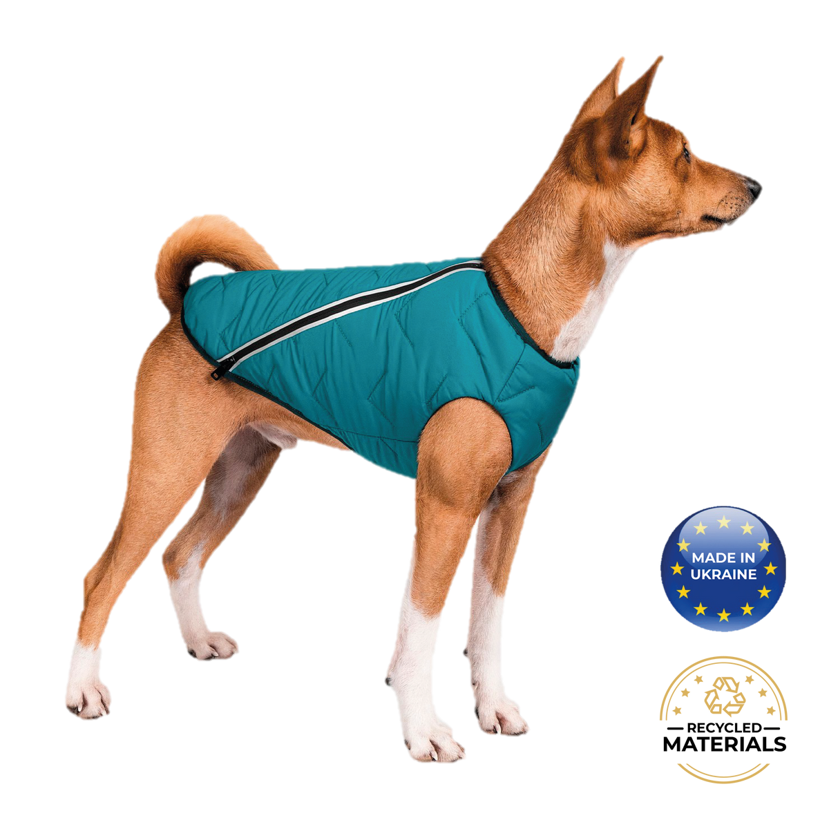 Sustainable Eco-Friendly Dog Jacket / Vest - Made in Ukraine - [[Product type]] | Buffy's