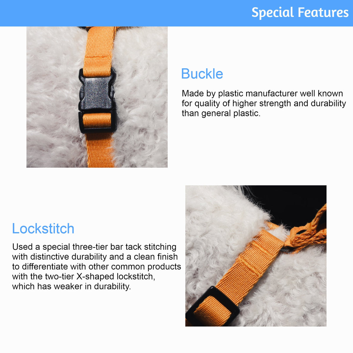 Lof Collar - [[Product type]] | Buffy's