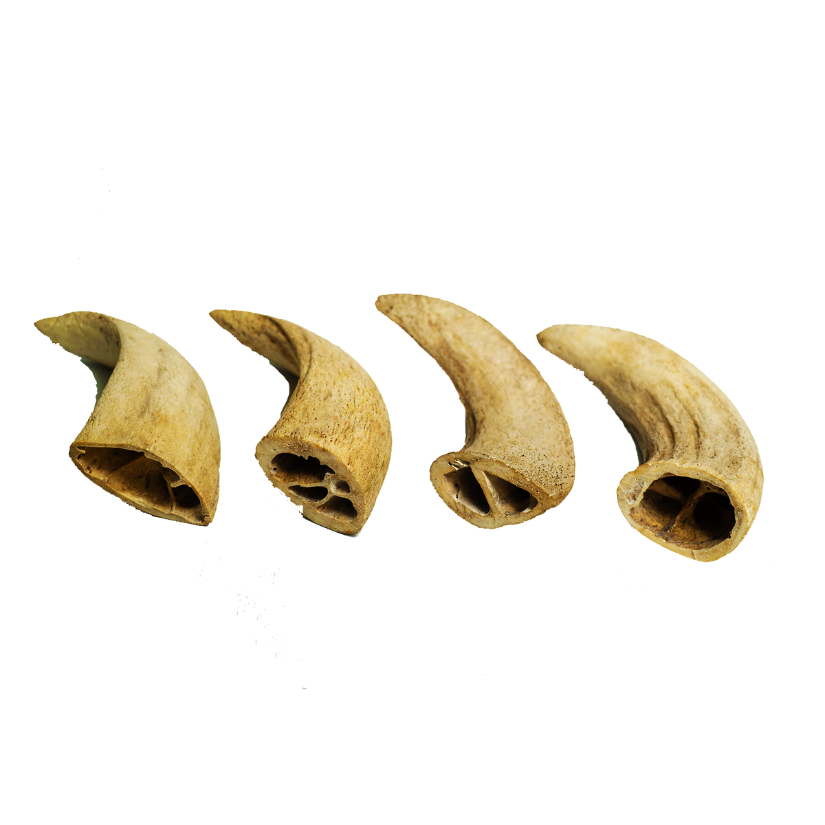 Water Buffalo Horn Core Dog Chews-2 Count-10 oz - [[Product type]] | Buffy's