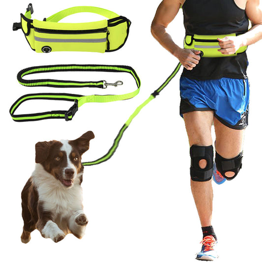 Pet Waist Bag Sports Traction Rope Reflective Waterproof - [[Product type]] | Buffy's